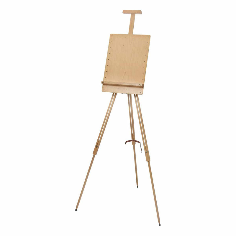 Easels and Cases