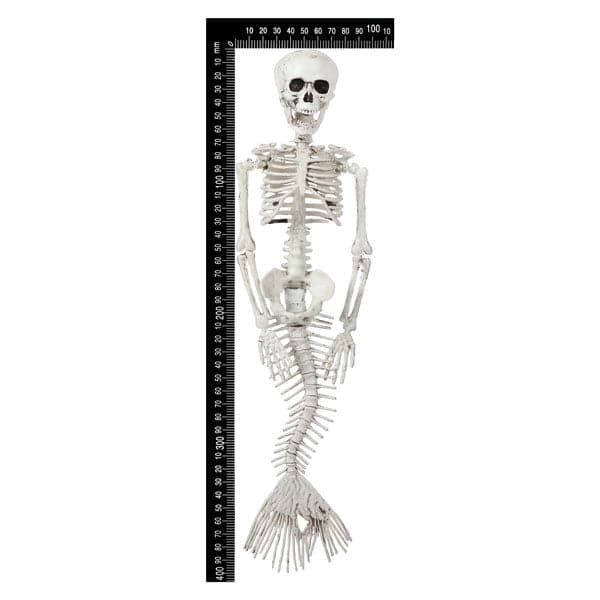 Gray Art Star Halloween Mermaid Skeleton 40cm Halloween