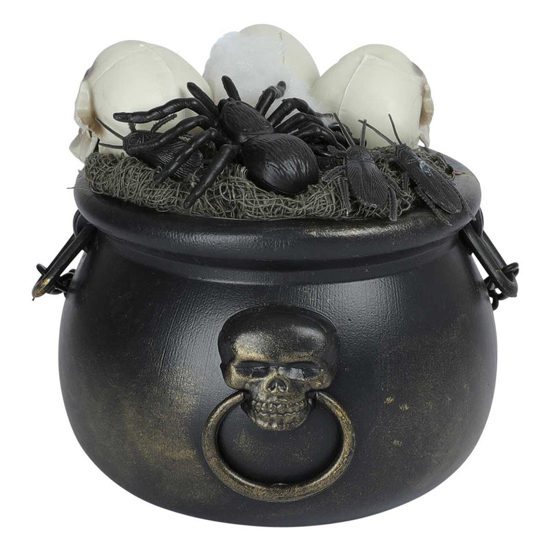 Dark Slate Gray Art Star Halloween Witch Cauldron Kit (13 Piece) Halloween