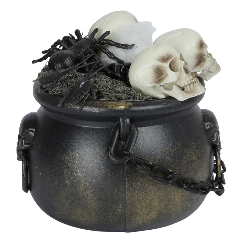 Dark Slate Gray Art Star Halloween Witch Cauldron Kit (13 Piece) Halloween