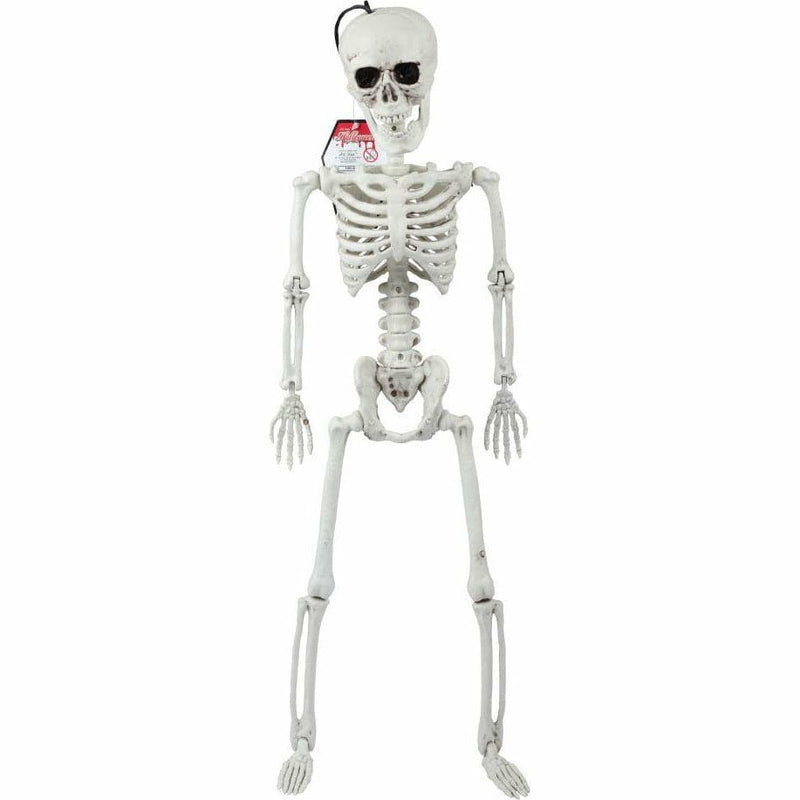 Gray Art Star Halloween Posable Skeleton 60cm Halloween