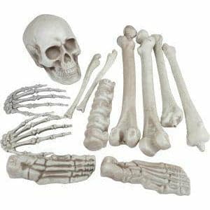 Gray Halloween Loose Skeleton Bones Large Halloween