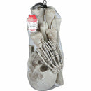 Gray Halloween Loose Skeleton Bones Large Halloween