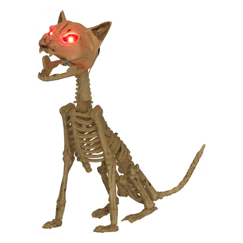 Dim Gray Art Star Halloween Light Up Cat Skeleton Halloween