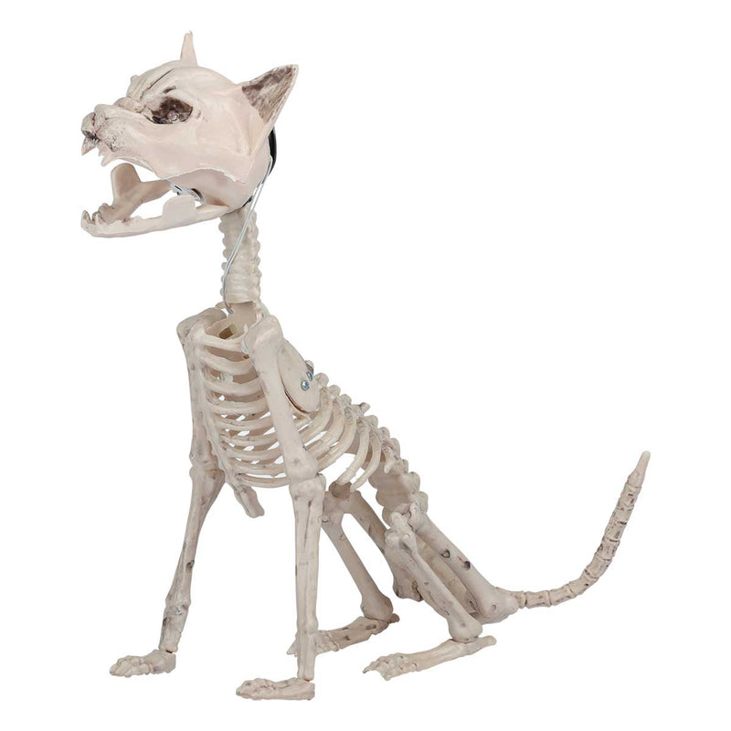 Gray Art Star Halloween Light Up Cat Skeleton Halloween