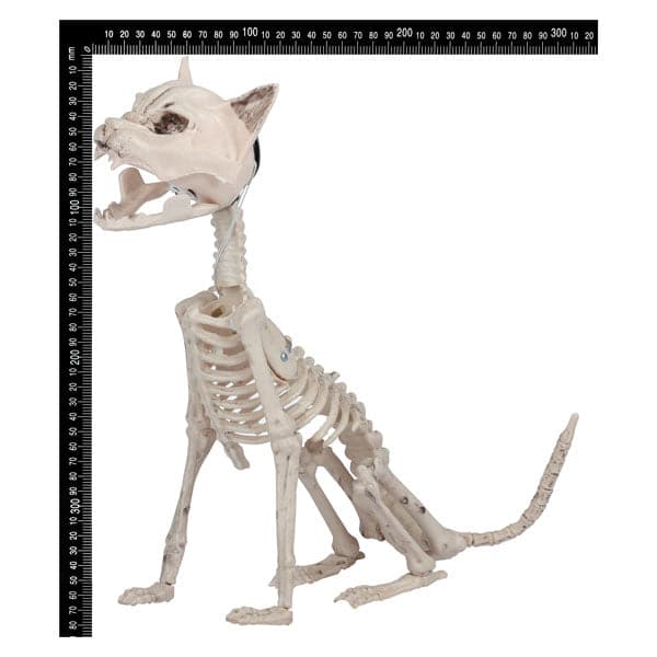 Gray Art Star Halloween Light Up Cat Skeleton Halloween