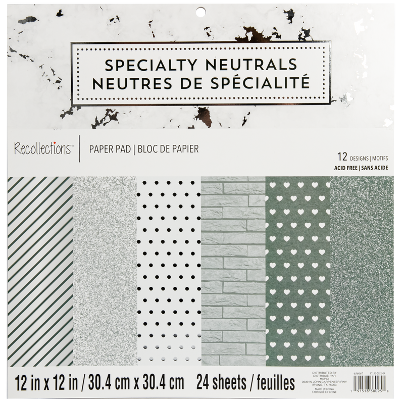 Light Gray Recollections Paper Pad 12x 12" 30.4 x 30.4cm 24 Sheets Specialty Neutrals Cardstock