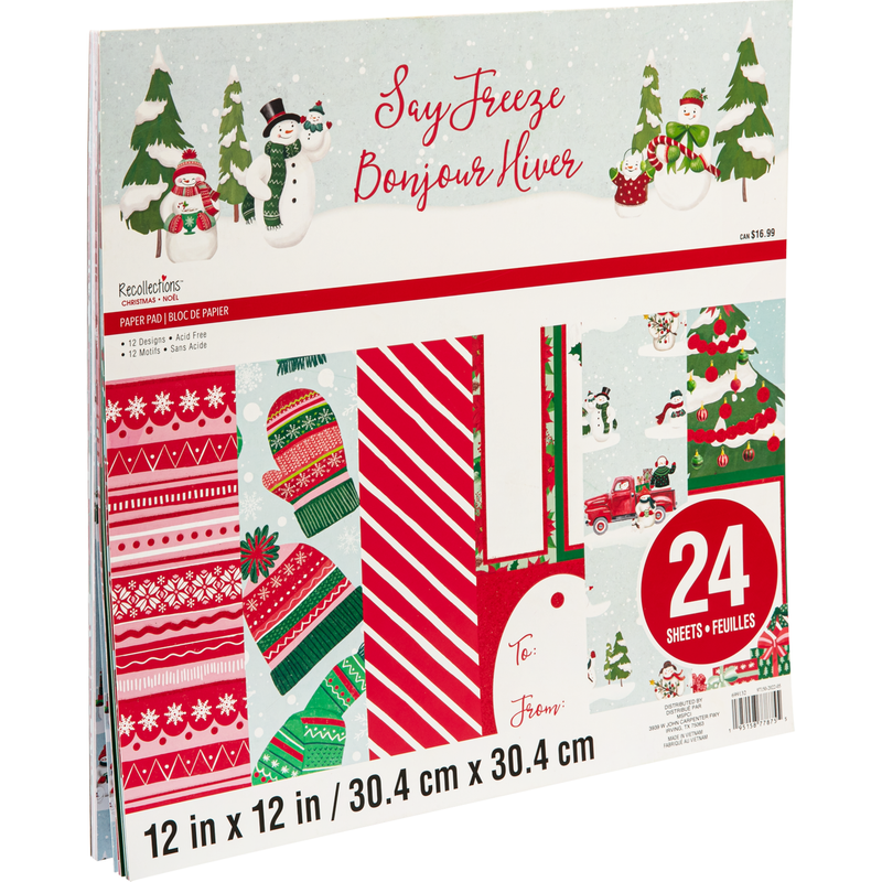 Light Gray Recollections Paper Pad 12X12 Say Freeze 24 Sheets Christmas