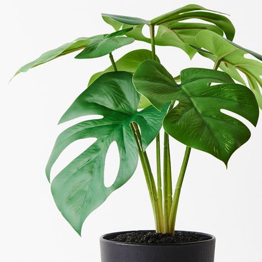 Dark Olive Green Green Monstera Plant - 28cm Artifical Flowers