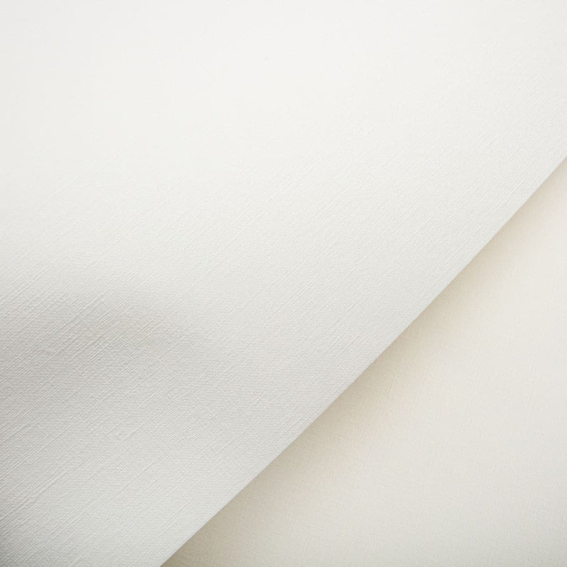 Canson Artist Series Canva Paper Pad 16"X20" 10 Sheets