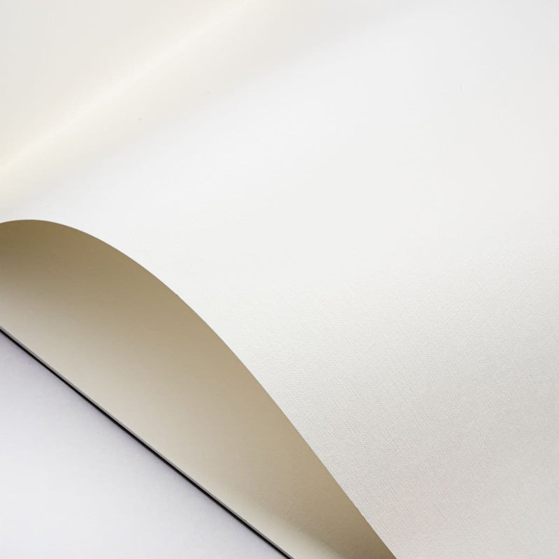 Canson Artist Series Canva Paper Pad 16"X20" 10 Sheets