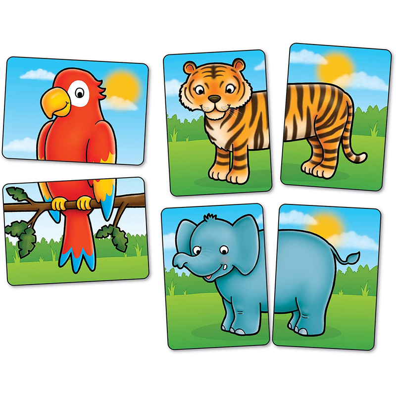 Sky Blue Orchard Game - Jungle Heads and Tails Kids Educational Games and Toys
