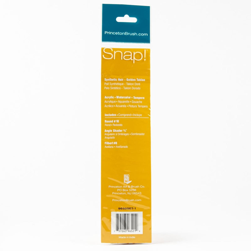 Snow Princeton Snap! Brush Set 3/Pkg Brushes