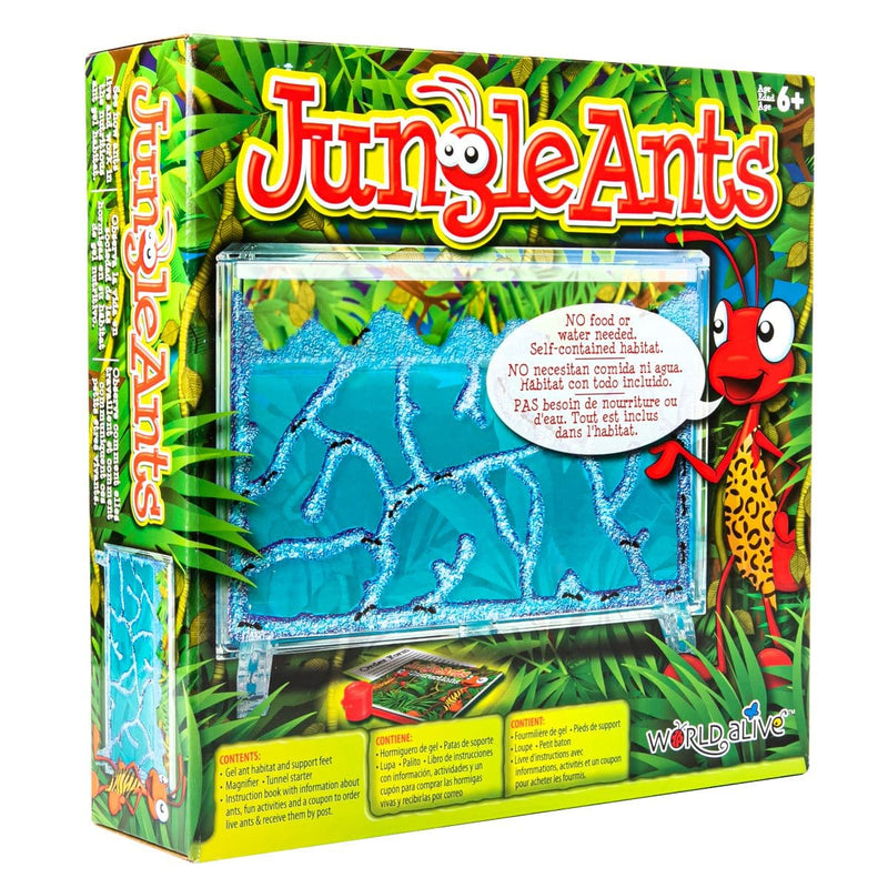 Light Goldenrod Jungle Ants Kids Educational Games and Toys