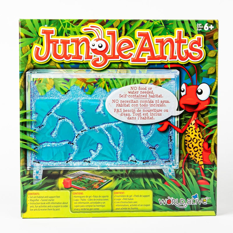 Lavender Jungle Ants Kids Educational Games and Toys