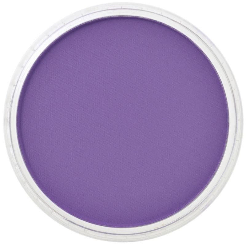 Slate Gray PanPastel 470.5 Violet Pastels & Charcoal