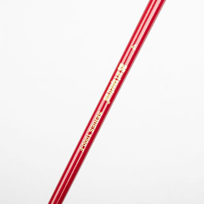 White Smoke Art Spectrum Brush Series 1000 Interlocked Hog Bristle - Fan Size - 4 Paint Brushes