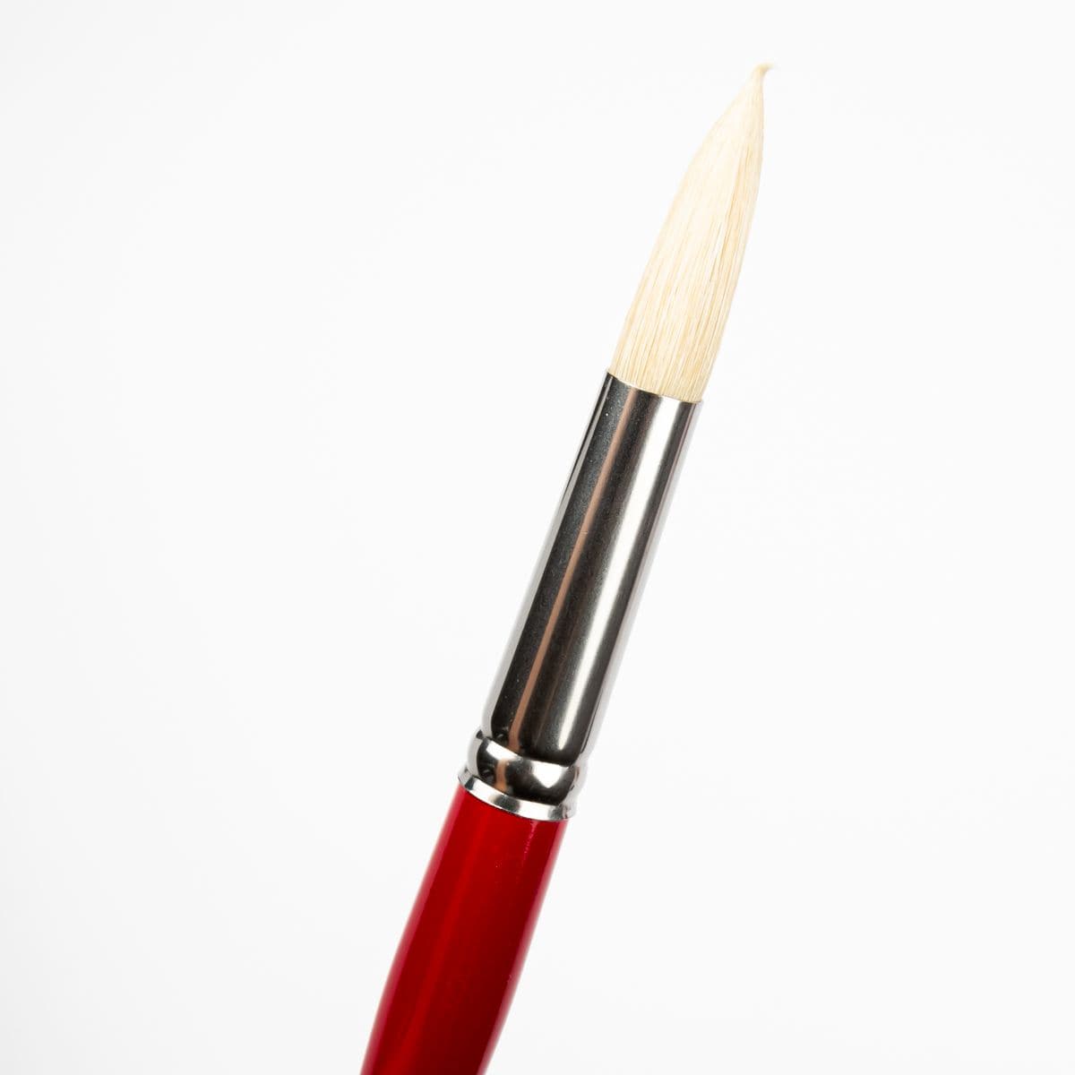 Snow Art Spectrum Brush Series 1000 Interlocked Hog Bristle - Round Size - 12 Paint Brushes