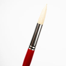 Snow Art Spectrum Brush Series 1000 Interlocked Hog Bristle - Round Size - 12 Paint Brushes