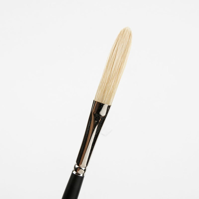 White Smoke Art Spectrum Brush Series 1100 Interlocked Hog Bristle - Long Filbert Size - 6 Paint Brushes