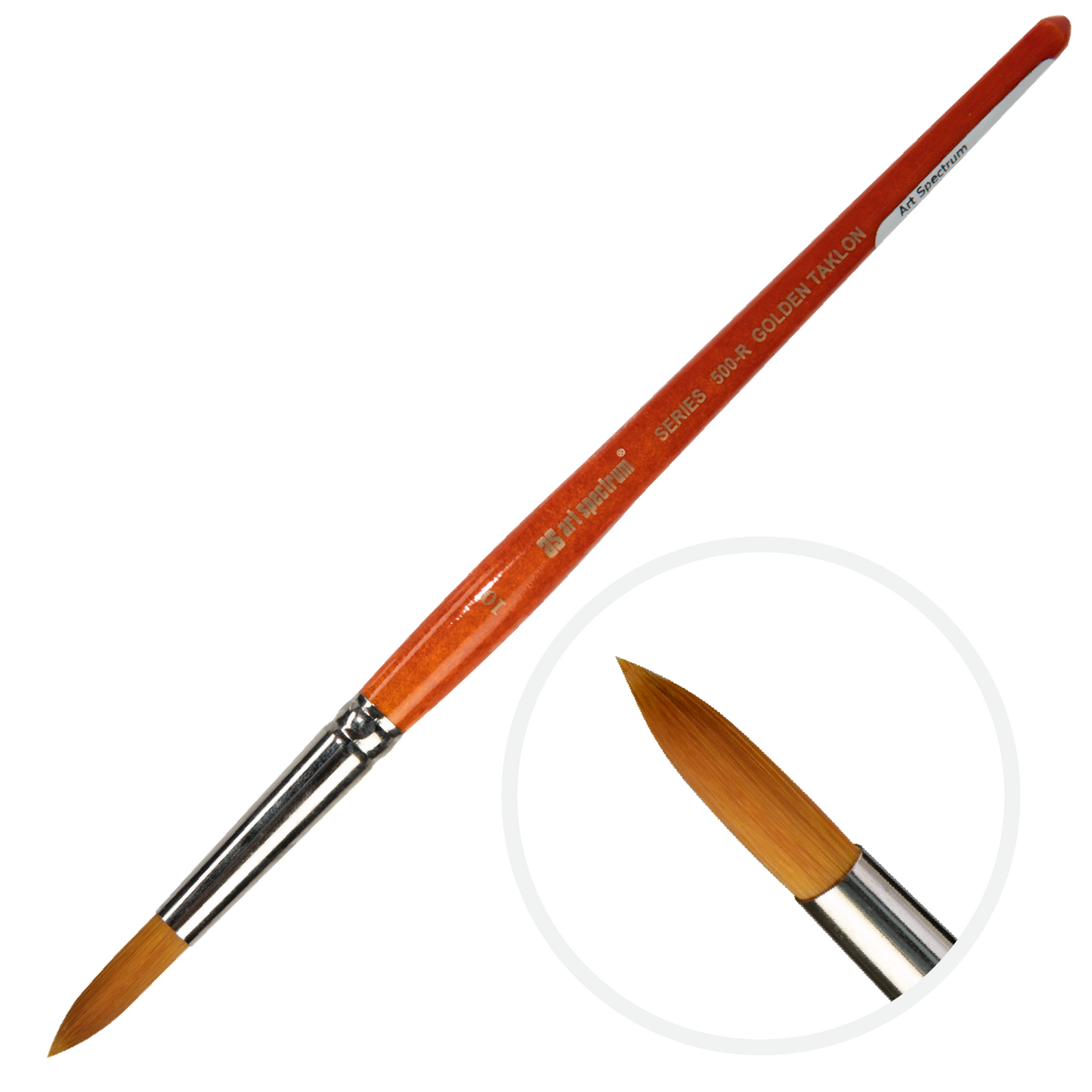 Sienna Art Spectrum Brush Series 500 Imitation Golden Sable - Round Size - 10 Paint Brushes
