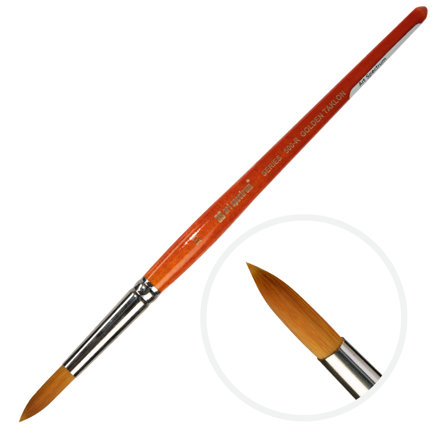 Sienna Art Spectrum Brush Series 500 Imitation Golden Sable - Round Size - 10 Paint Brushes