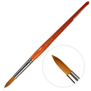 Sienna Art Spectrum Brush Series 500 Imitation Golden Sable - Round Size - 10 Paint Brushes