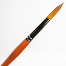 White Smoke Art Spectrum Brush Series 500 Imitation Golden Sable - Round Size - 12 Paint Brushes