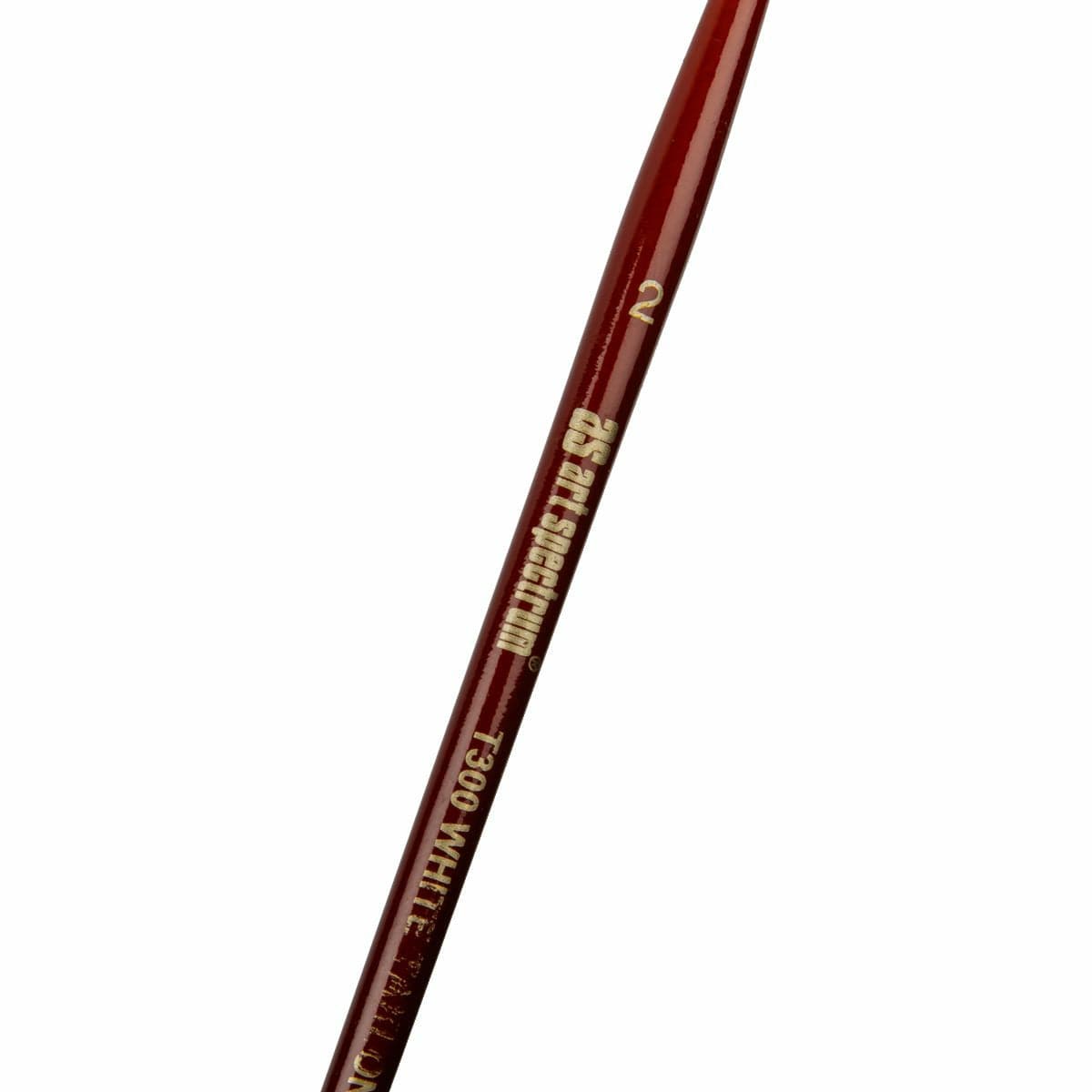 Saddle Brown Art Spectrum Brush Series T300 White Taklon - Round Size - 2 Paint Brushes