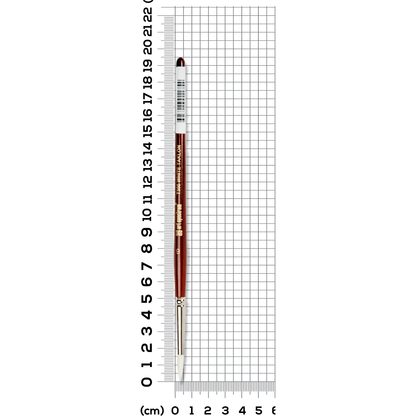 Light Slate Gray Art Spectrum Brush Series T300 White Taklon - Round Size - 6 Paint Brushes