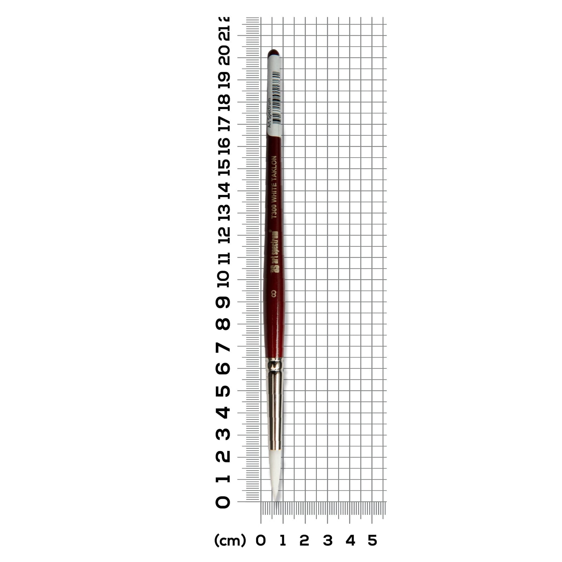 Light Slate Gray Art Spectrum Brush Series T300 White Taklon - Round Size - 8 Paint Brushes