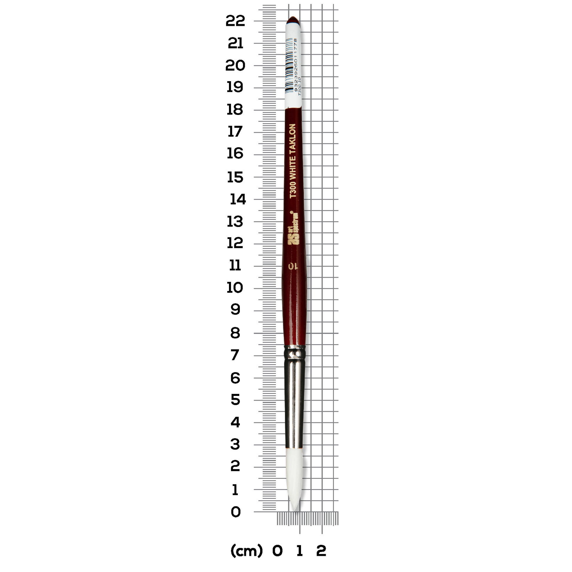 Light Slate Gray Art Spectrum Brush Series T300 White Taklon - Round Size - 10 Paint Brushes