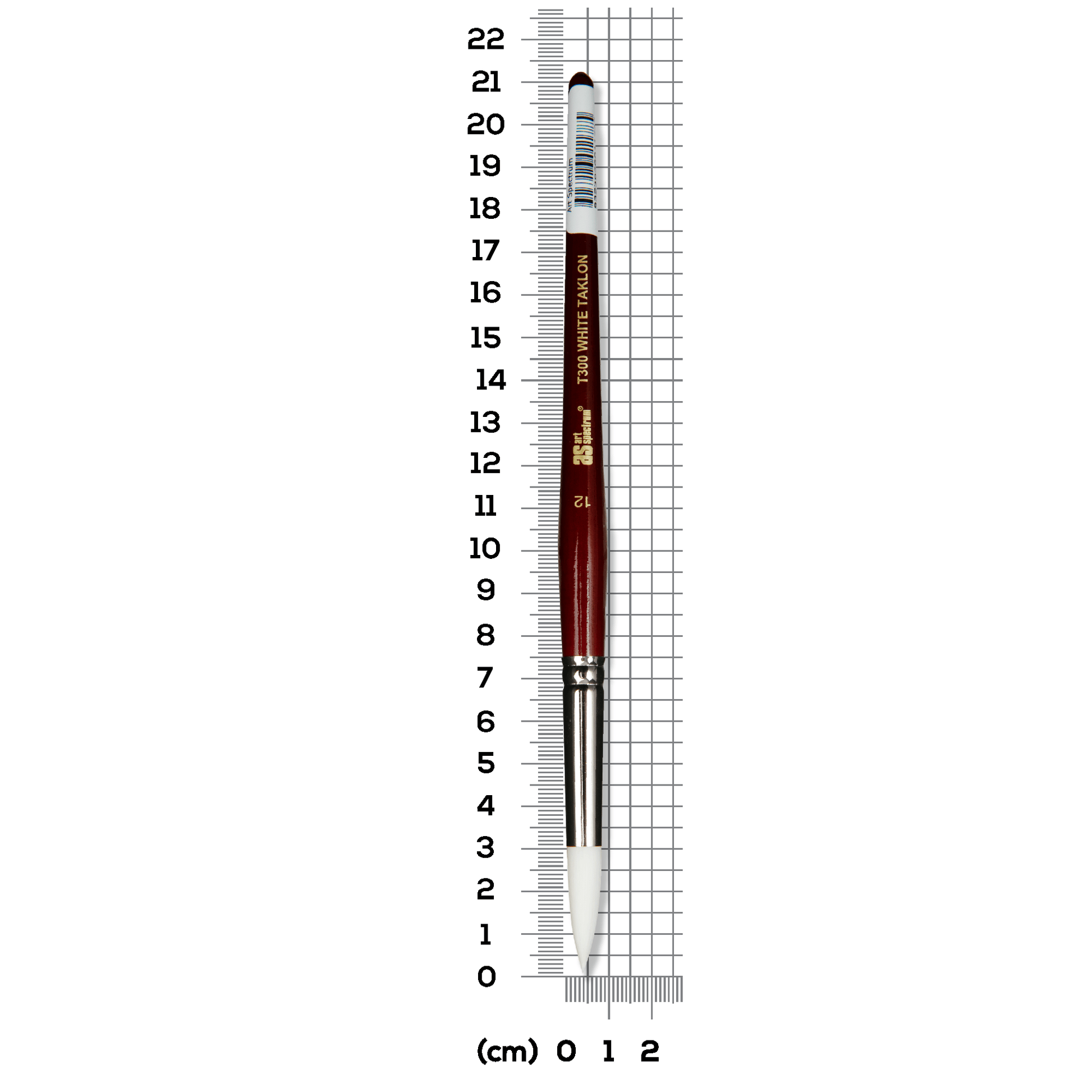 Light Slate Gray Art Spectrum Brush Series T300 White Taklon - Round Size - 12 Paint Brushes