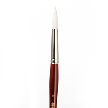 Beige Art Spectrum Brush Series T300 White Taklon - Round Size - 16 Paint Brushes