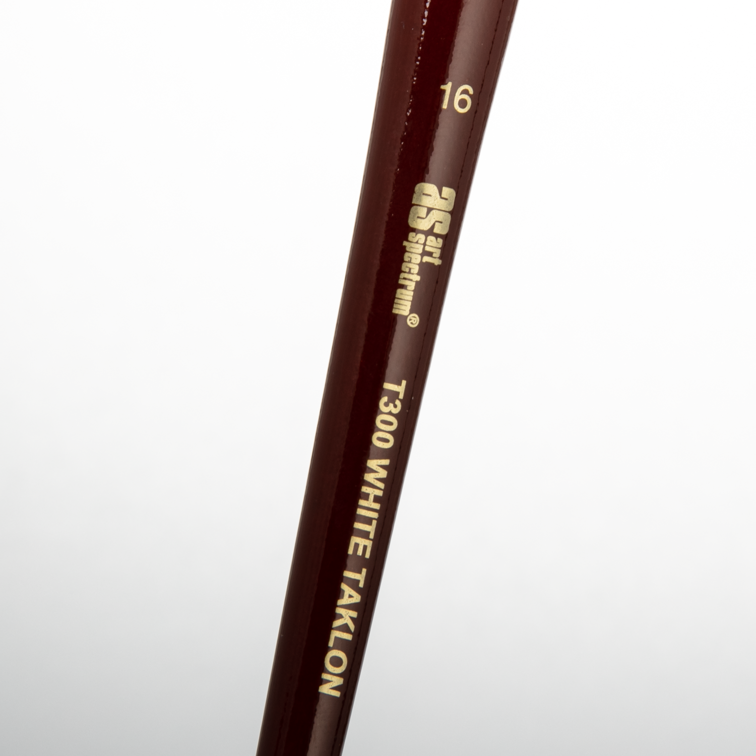 Dark Slate Gray Art Spectrum Brush Series T300 White Taklon - Round Size - 16 Paint Brushes
