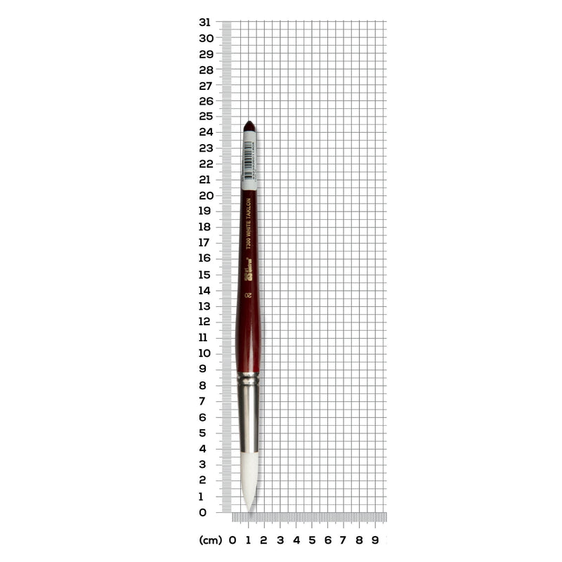 Dark Gray Art Spectrum Brush Series T300 White Taklon - Round Size - 20 Paint Brushes