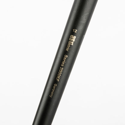 Dark Slate Gray Art Spectrum Brush Series 2000 Interlocked Chungking Bristle - Filbert Size - 12 Paint Brushes
