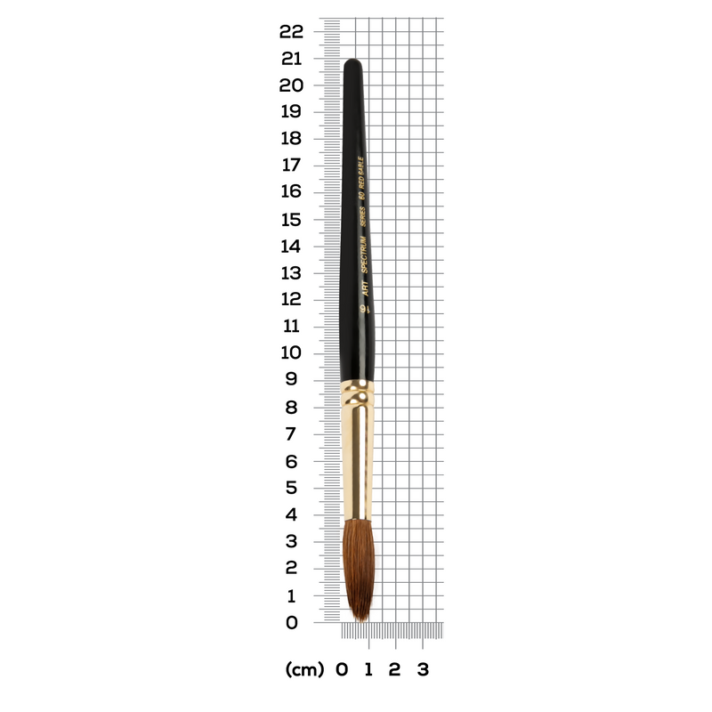 Dark Gray Art Spectrum Brush Series 60 Red Sable  - Round Size - 16 Paint Brushes