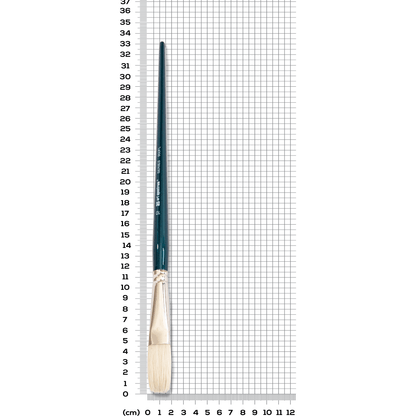 Light Slate Gray Art Spectrum Brush Series 900 Interlocked Hog Bristle - Flat Size - 10 Paint Brushes