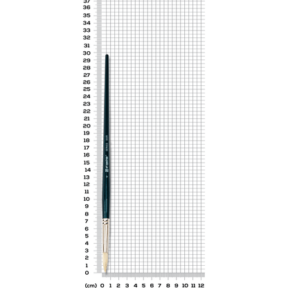 Light Slate Gray Art Spectrum Brush Series 900 Interlocked Hog Bristle - Round Size - 4 Paint Brushes