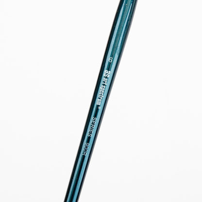 Snow Art Spectrum Brush Series 900 Interlocked Hog Bristle - Round Size - 6 Paint Brushes