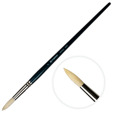 Black Art Spectrum Brush Series 900 Interlocked Hog Bristle - Round Size - 8 Paint Brushes