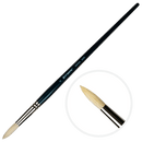 Black Art Spectrum Brush Series 900 Interlocked Hog Bristle - Round Size - 8 Paint Brushes