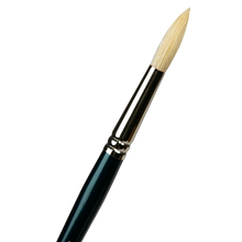 Tan Art Spectrum Brush Series 900 Interlocked Hog Bristle - Round Size - 8 Paint Brushes