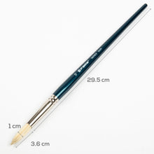Snow Art Spectrum Brush Series 900 Interlocked Hog Bristle - Round Size - 10 Paint Brushes