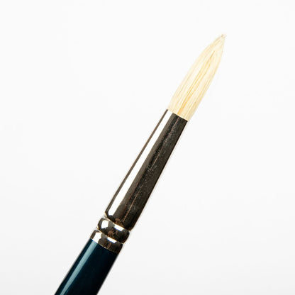 White Smoke Art Spectrum Brush Series 900 Interlocked Hog Bristle - Round Size - 10 Paint Brushes