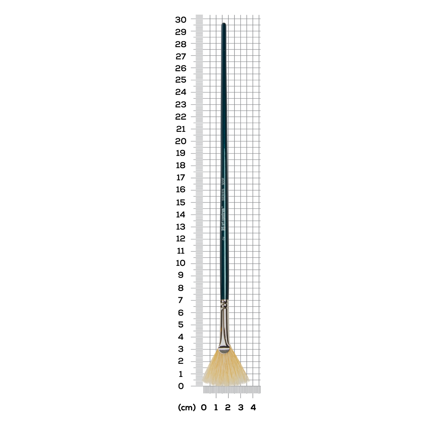 Dark Gray Art Spectrum Brush Series 900 Interlocked Hog Bristle - Fan  Size - 2 Paint Brushes