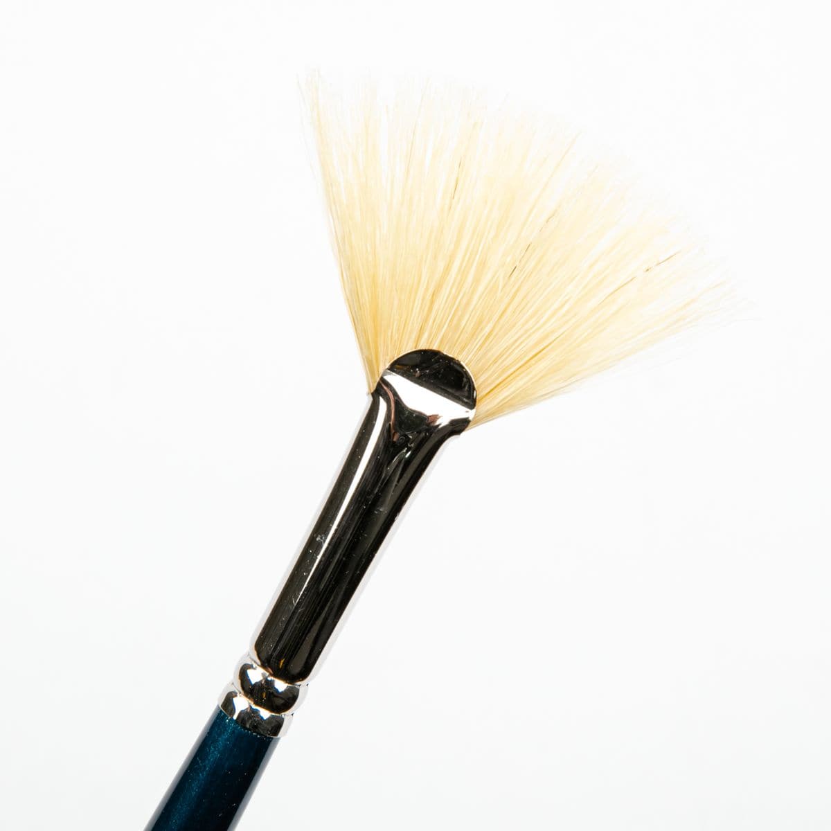 White Smoke Art Spectrum Brush Series 900 Interlocked Hog Bristle - Fan  Size - 6 Paint Brushes
