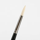 White Smoke Art Spectrum Brush Series 1100 Interlocked Hog Bristle - Round Size - 6 Paint Brushes