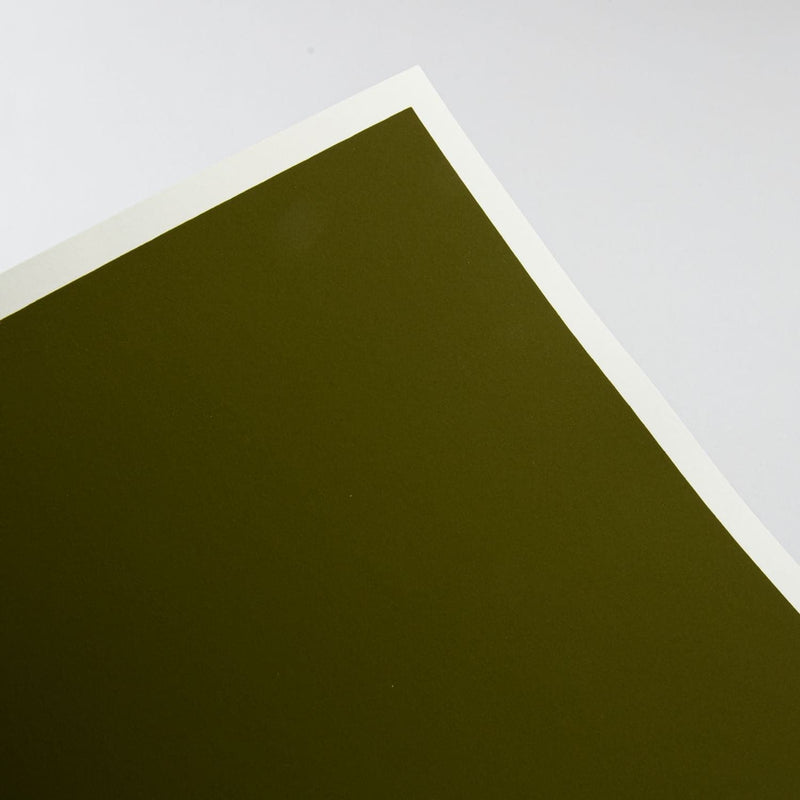 Dark Olive Green Art Spectrum  Colourfix  Original (Medium) 23X30cm 340GSM Olive Green (Pkt 10 Sheets) Pads